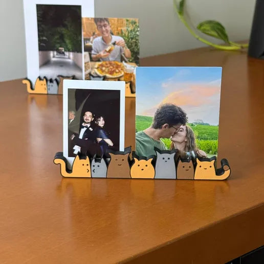 Magnetic Cat Photo Display